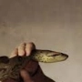 Аватар пользователя Душу-Анаконду